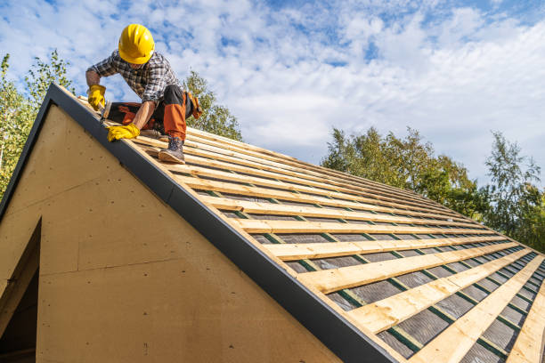 Best Roof Gutter Cleaning  in , VA